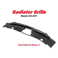 Radiator Grille